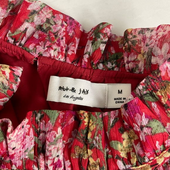 Ali & Jay Anthropologie Troubadour Floral Jumpsuit - Picture 7 of 11